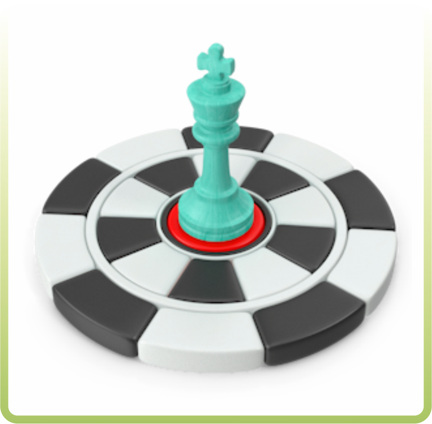 Customised Strategy